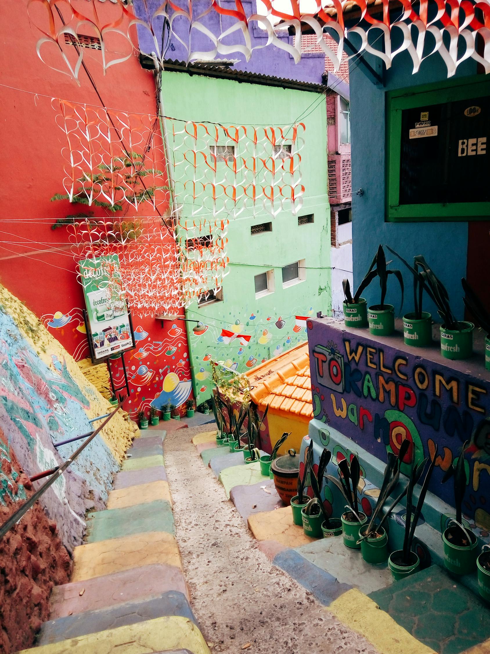 新海村資訊，探索鄉(xiāng)村發(fā)展的新時(shí)代步伐