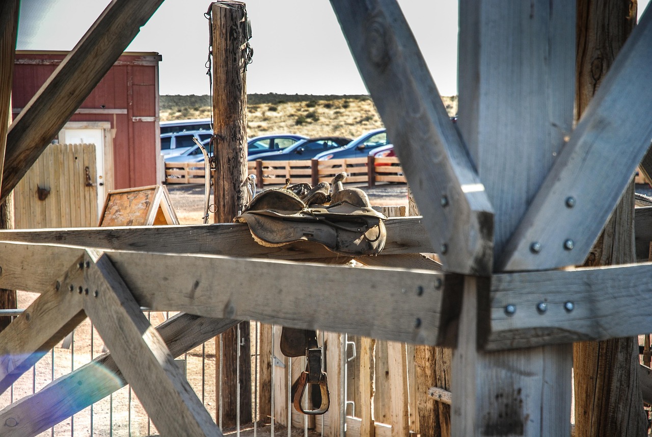 南海最新動態(tài)，區(qū)域穩(wěn)定與合作深化進展觀察