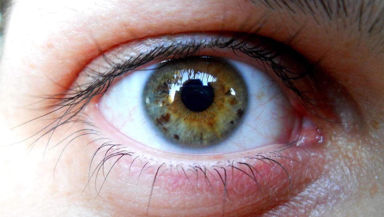 柯南小蘭新動態(tài)揭秘，追蹤神秘事件的最新進展