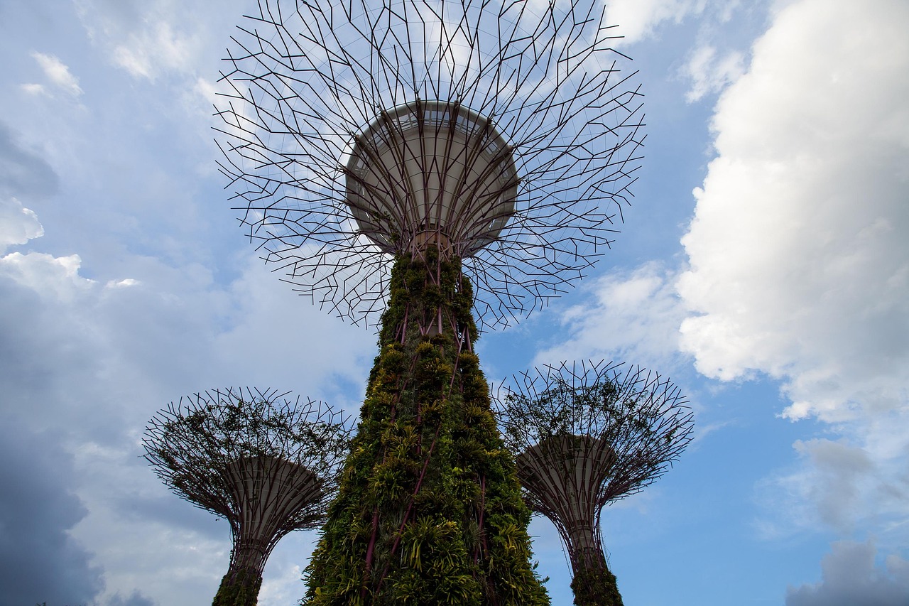 萬花最新版本探索與體驗之旅