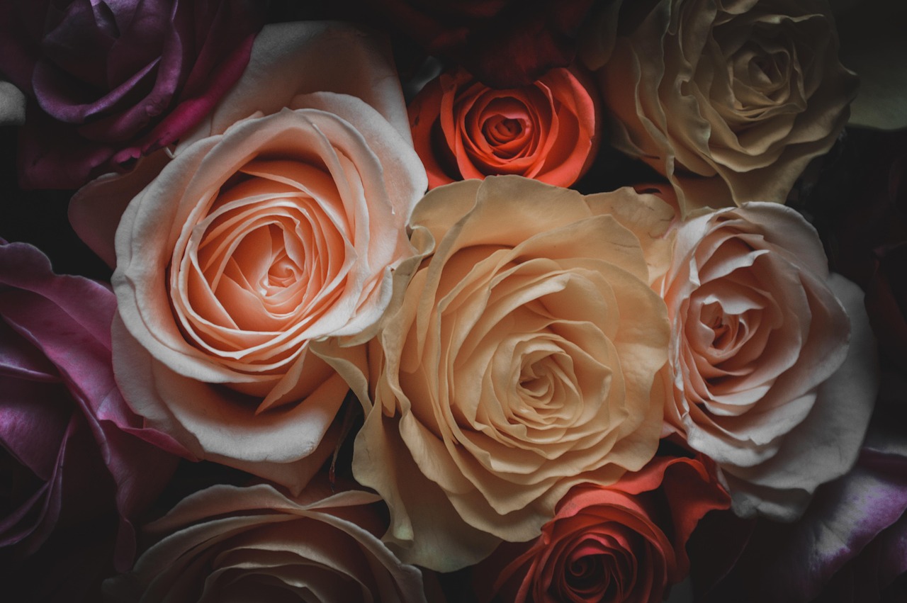 揭秘2017最新邪惡動(dòng)態(tài)圖片，背后的故事與影響