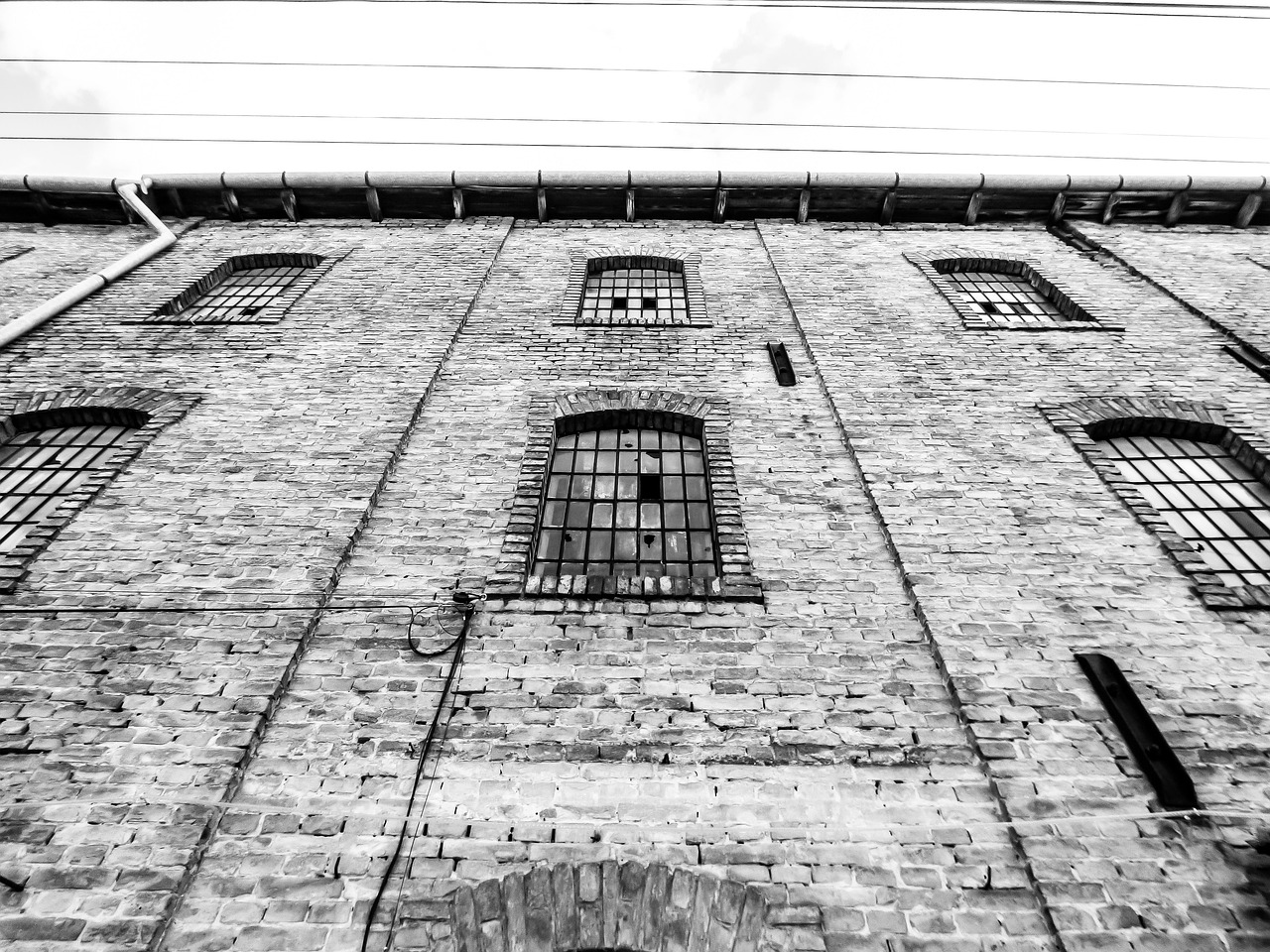 云南斗牛比賽中的牛死牛事件，傳統(tǒng)競技背后的反思