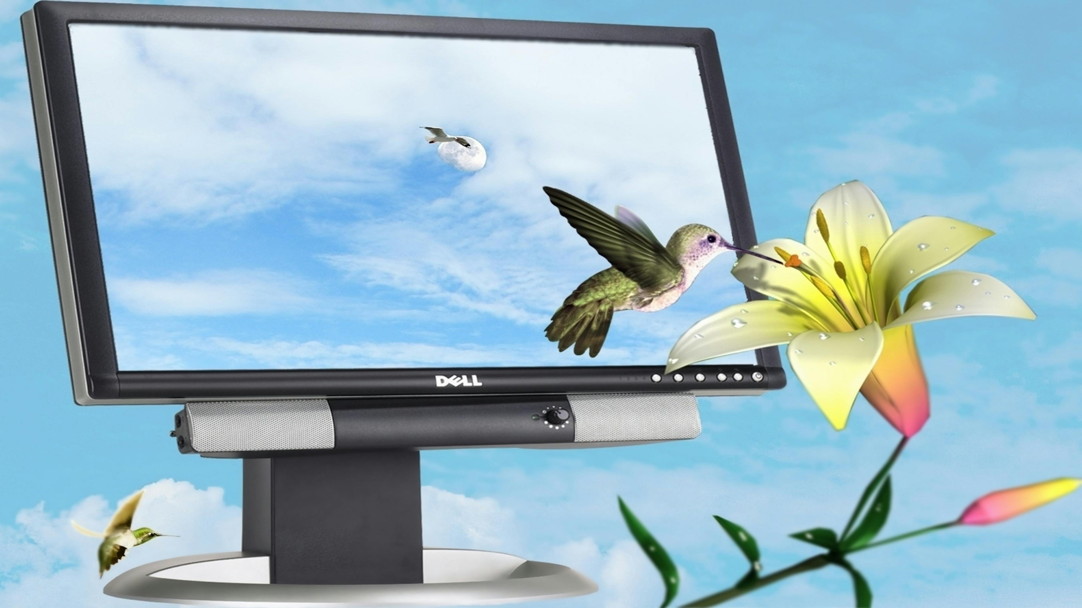 淶水新聞最新動態(tài)，縣域發(fā)展新動向與社會民生新動態(tài)