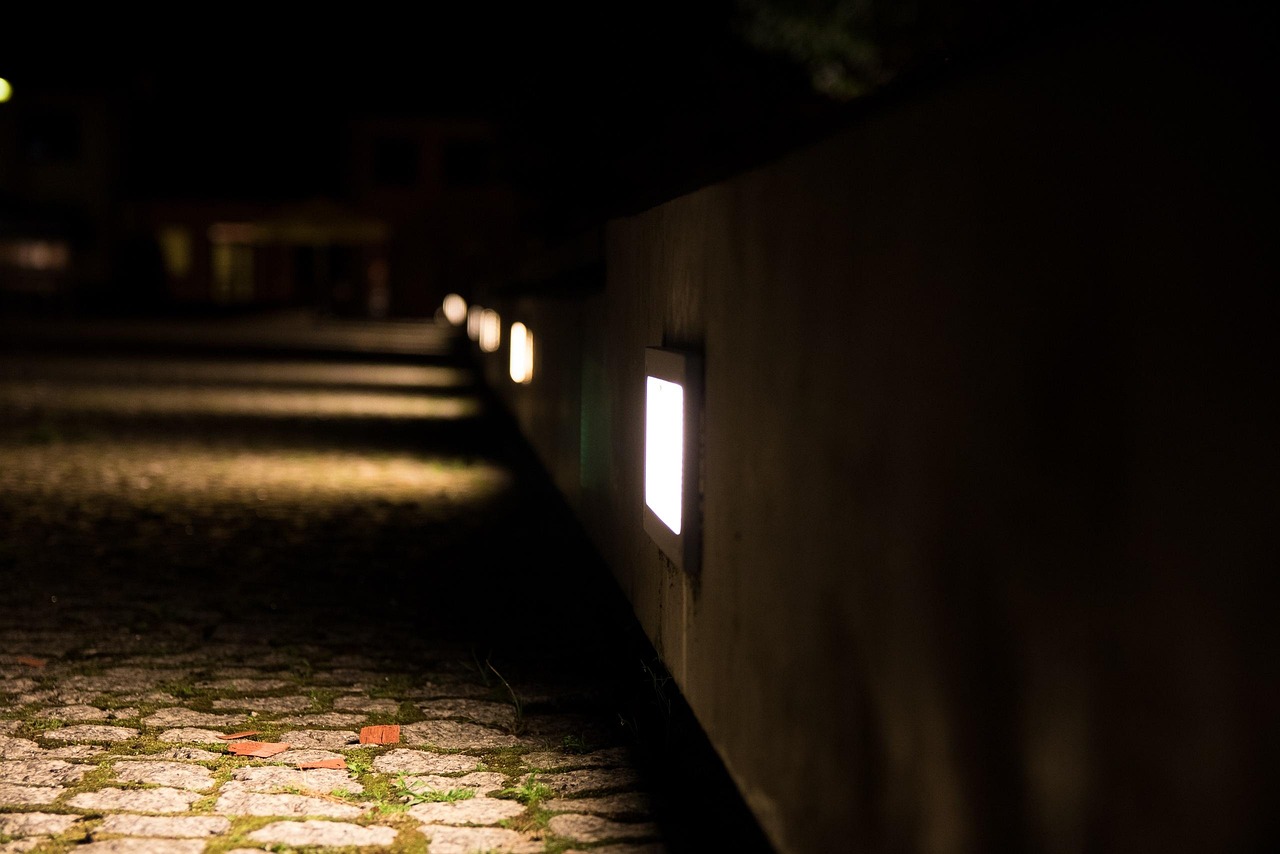 蕪湖市二壩鎮(zhèn)新面貌，蓬勃發(fā)展中的最新動態(tài)