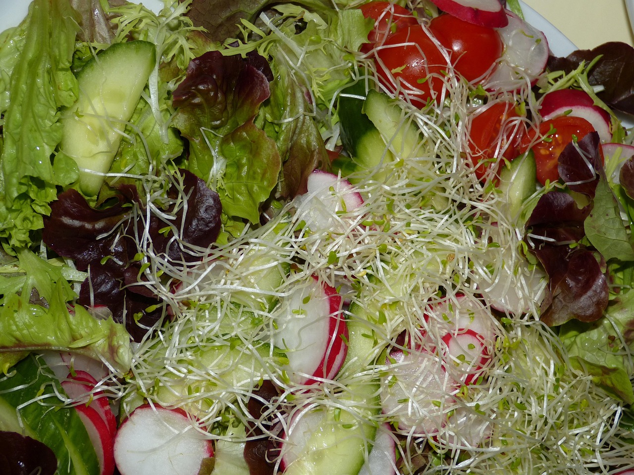 最新涼菜精選，美味與健康并存的涼菜藝術(shù)欣賞