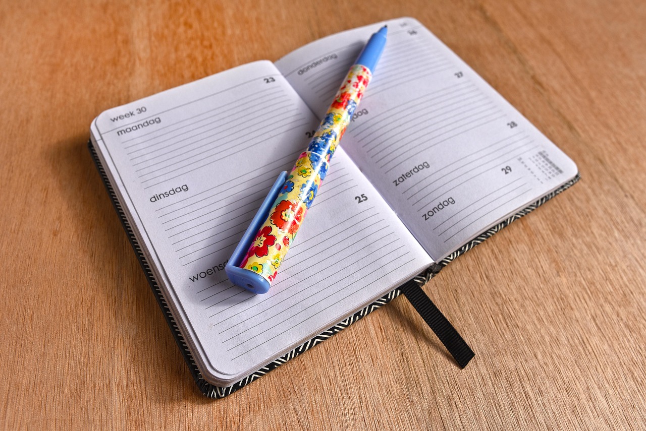 東風(fēng)軟 第2頁(yè)