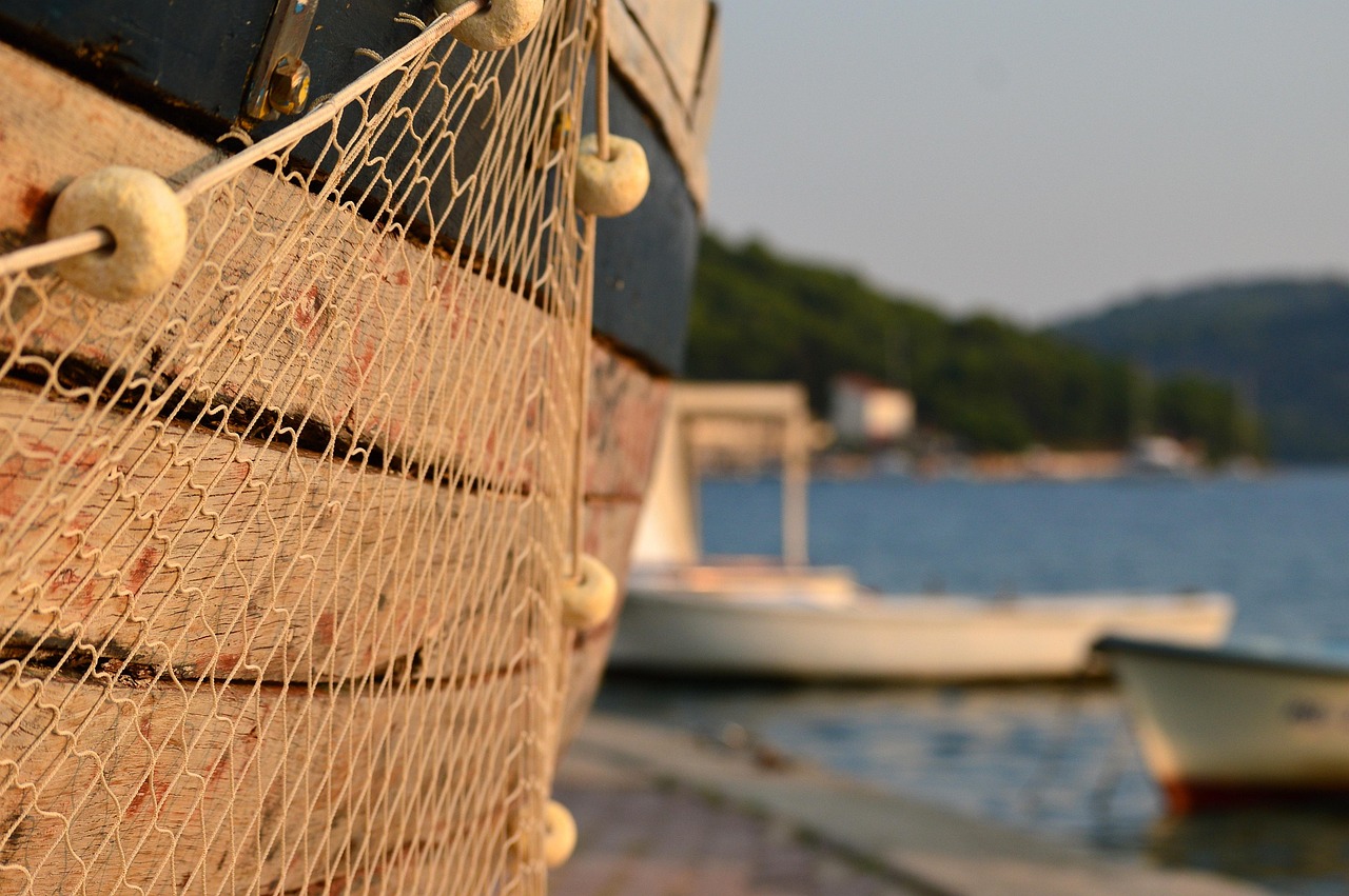 顧執(zhí) 第2頁(yè)