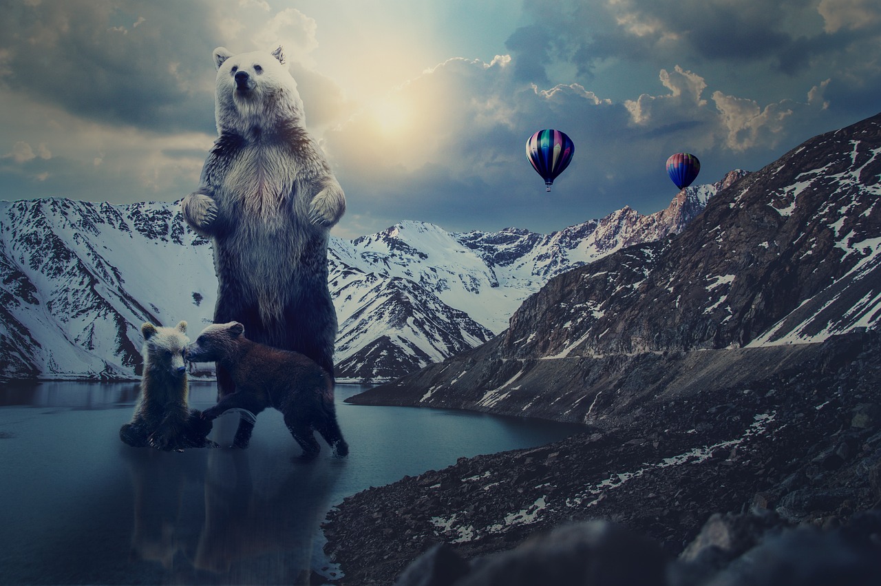 LOL電影下載，探索與體驗(yàn)之旅