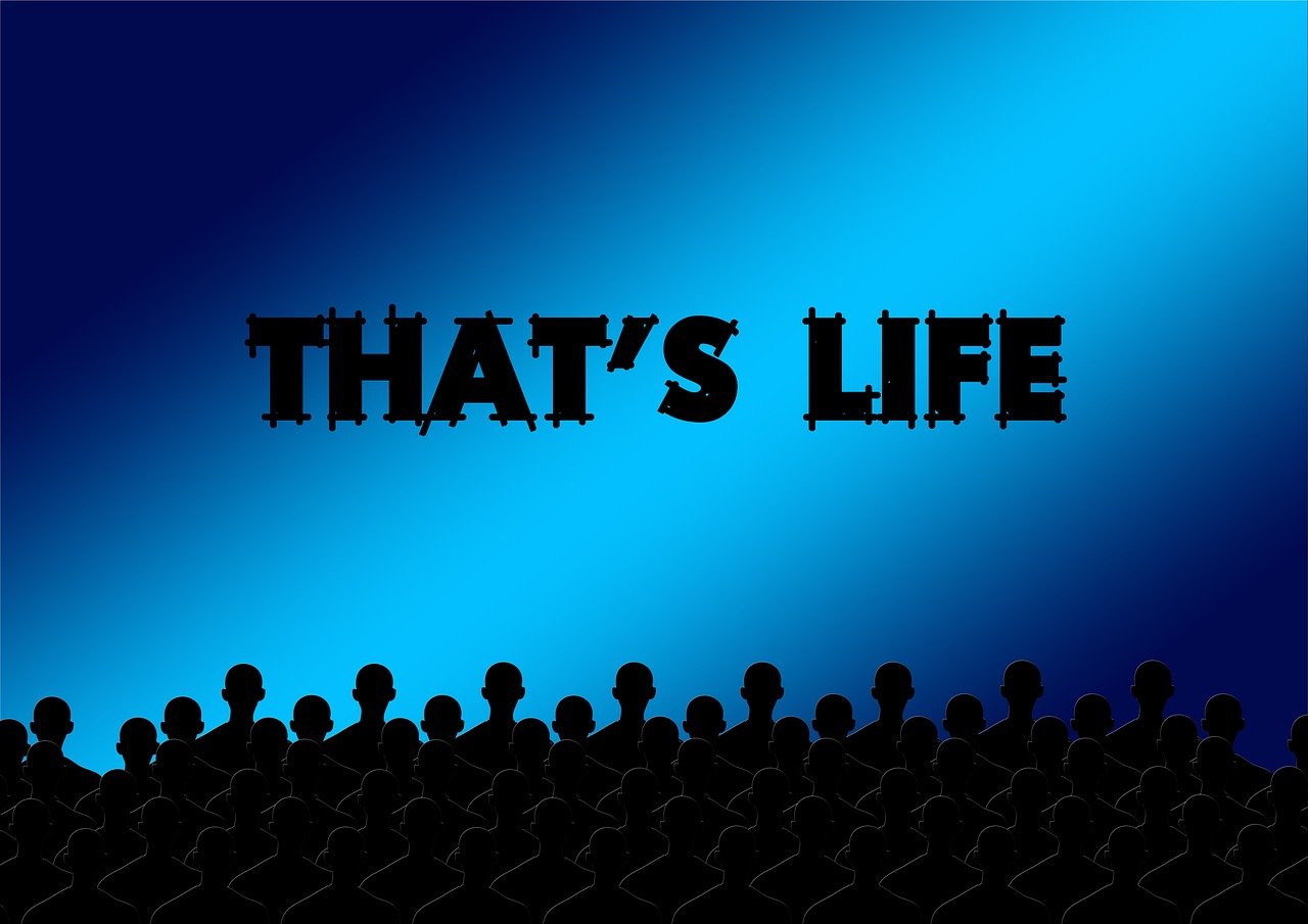 最新電影排片及影視行業(yè)趨勢探索