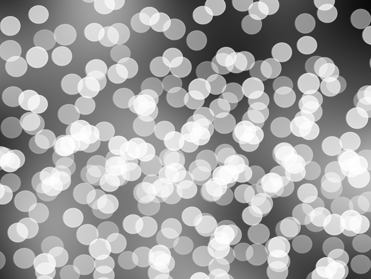 劉志軒最新動(dòng)態(tài)揭秘，籃球場(chǎng)上的新星璀璨閃耀