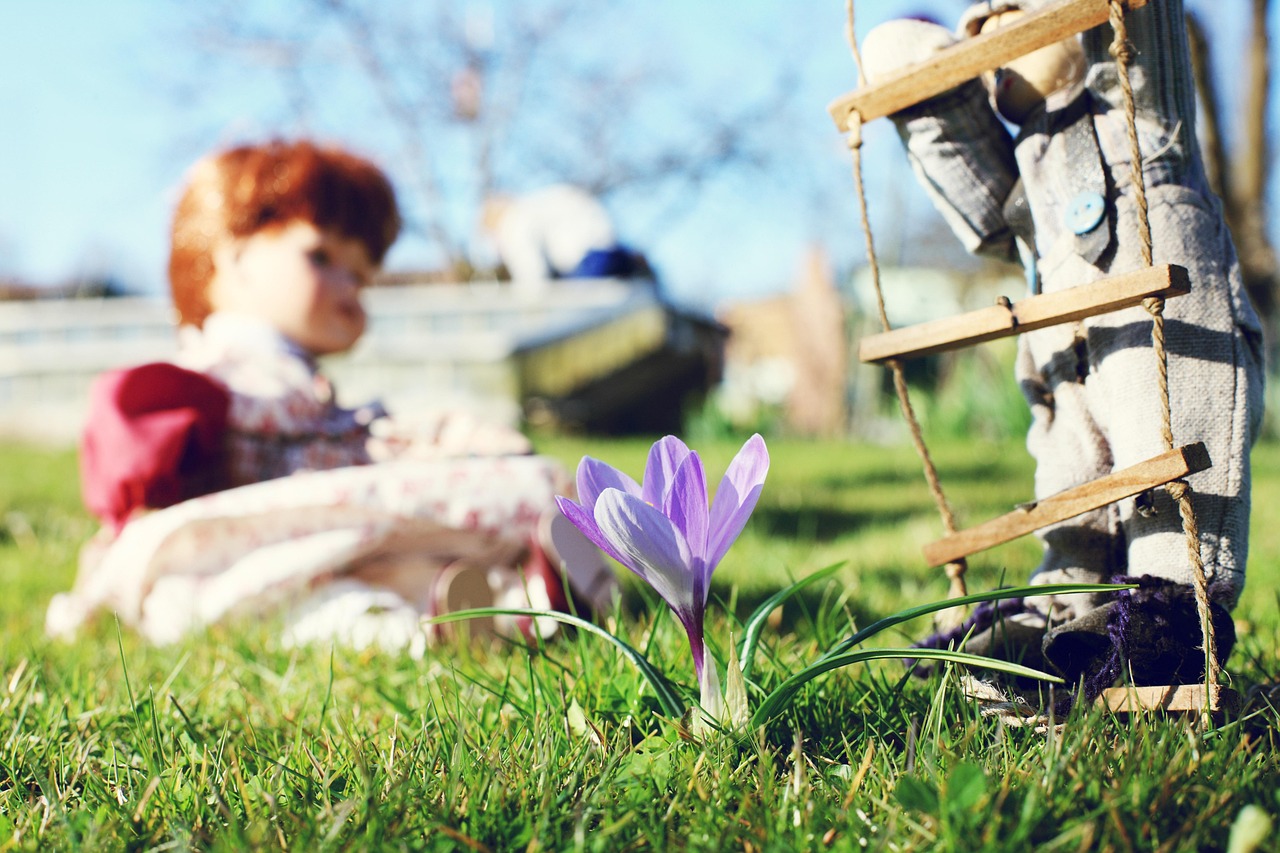 心花路放，簡(jiǎn)沫小說(shuō)最新版的綻放之旅