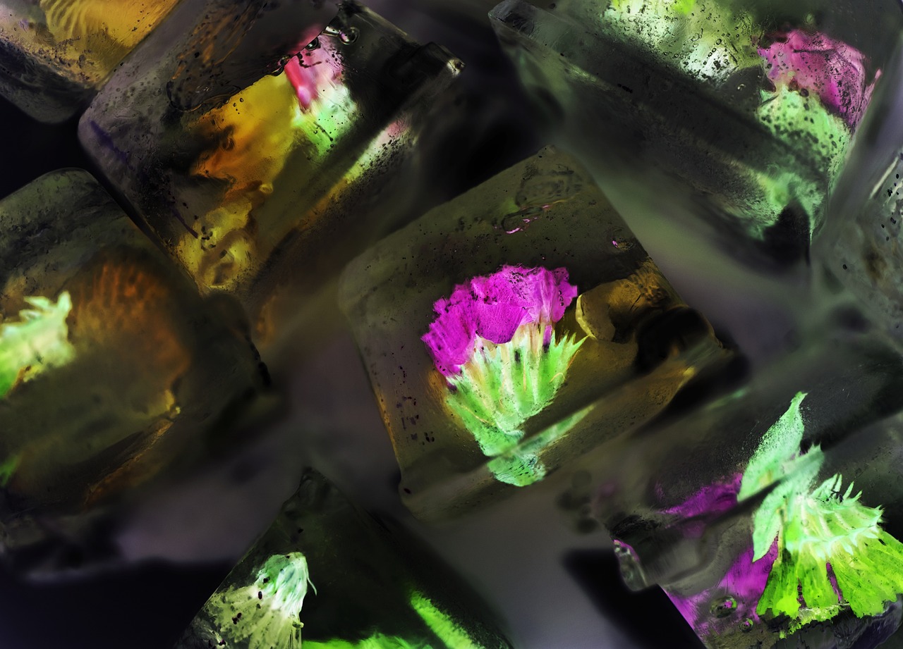 九陽最新款破壁機，破壁科技與烹飪藝術(shù)的極致融合