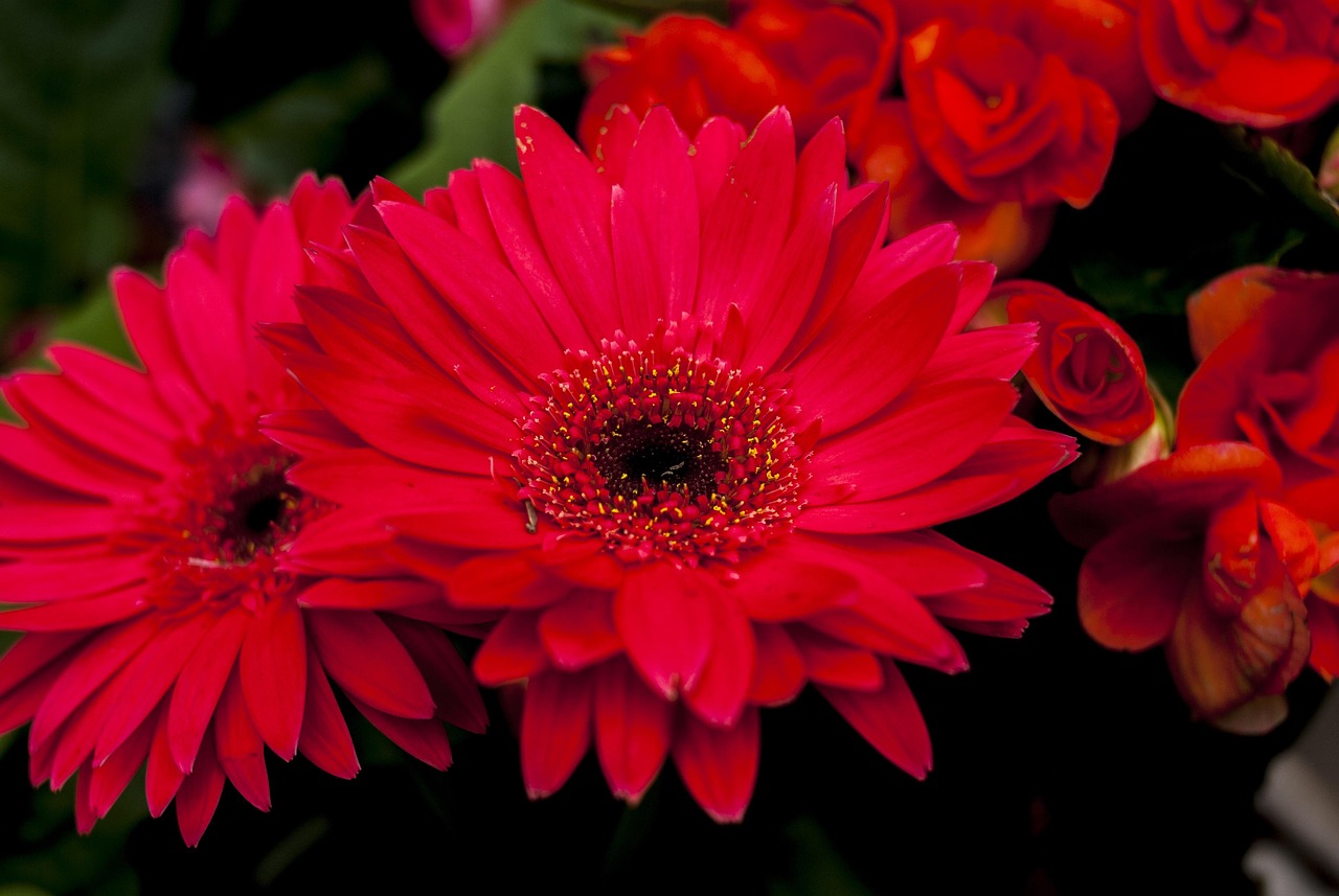 淮安馨雅園最新房?jī)r(jià)動(dòng)態(tài)分析與趨勢(shì)預(yù)測(cè)