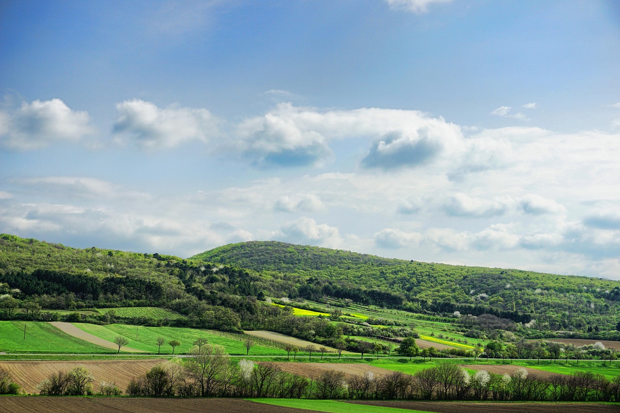 中體產(chǎn)業(yè)最新動(dòng)態(tài)全面解讀（股票代碼，600158）