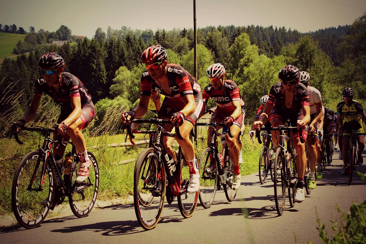 葡超最新比分及積分榜排名，賽場動態(tài)、球隊表現(xiàn)全面解析