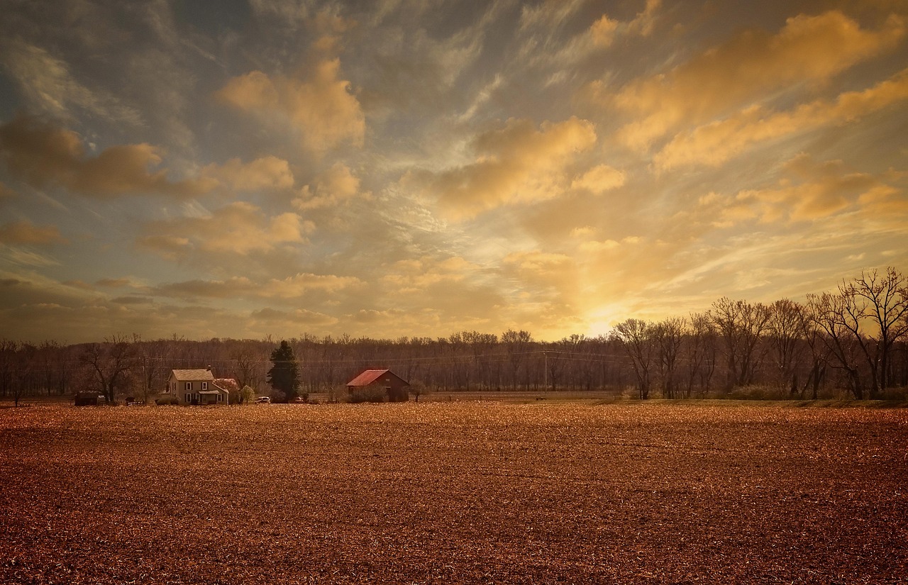 八佰新片上映，探索電影藝術的無限魅力