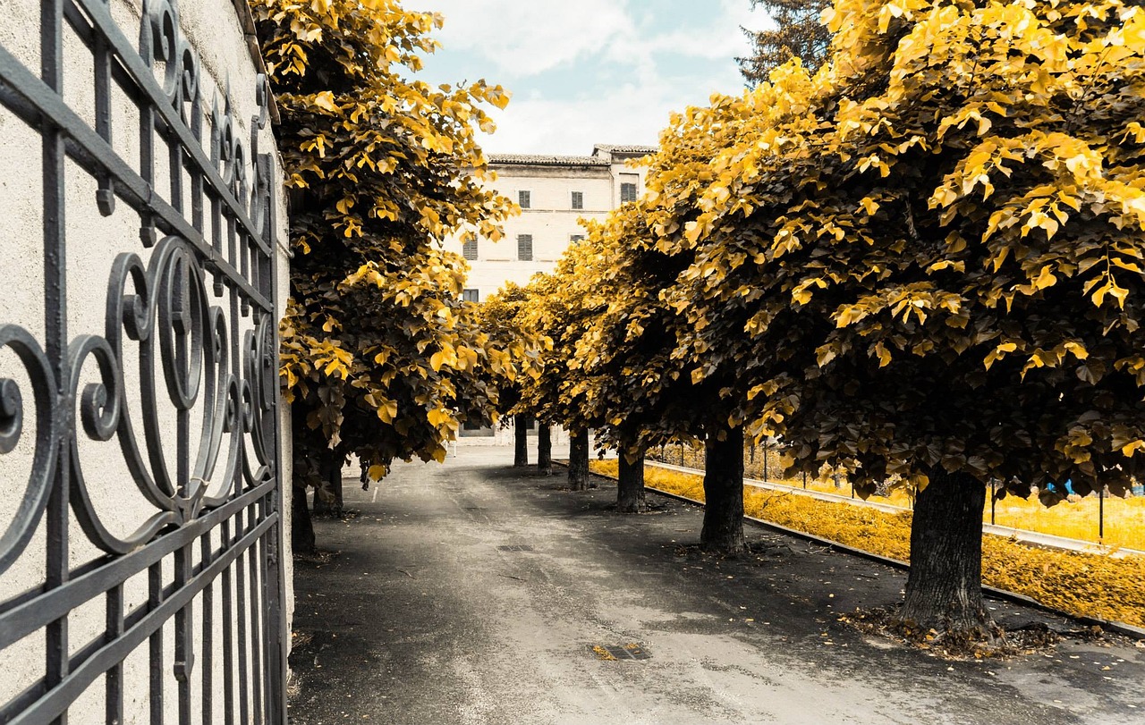 鄭州康橋知園最新評價解析